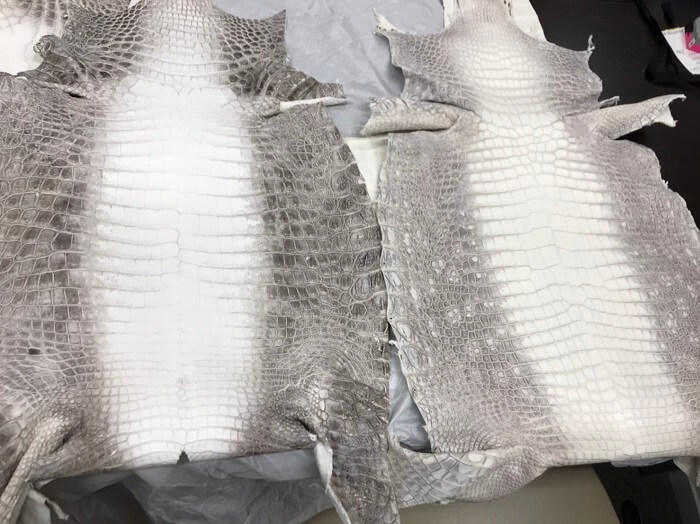 ヒマラヤクロコダイル長財布