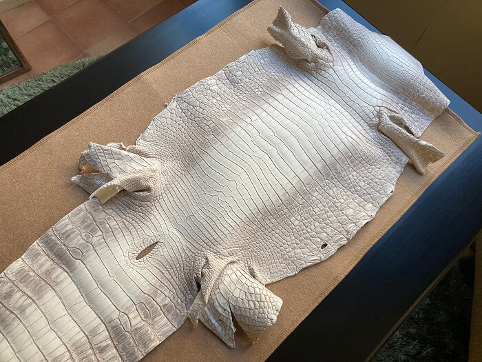 ヒマラヤクロコダイルポロサス長財布