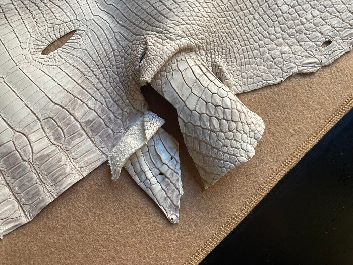 ヒマラヤクロコダイルポロサス長財布