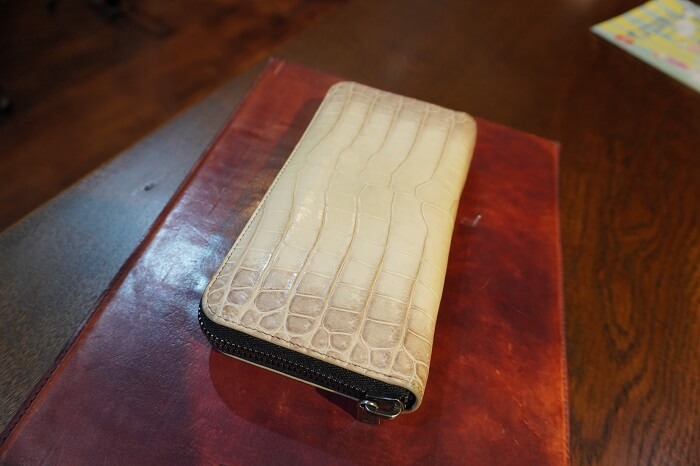 ヒマラヤポロサスクロコダイル