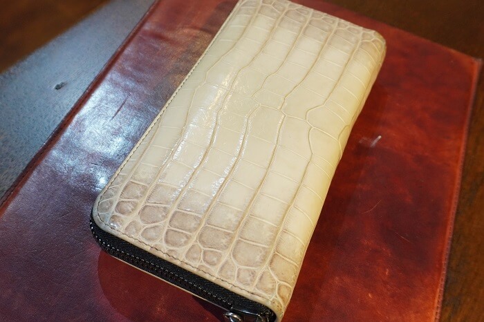 ヒマラヤポロサスクロコダイル