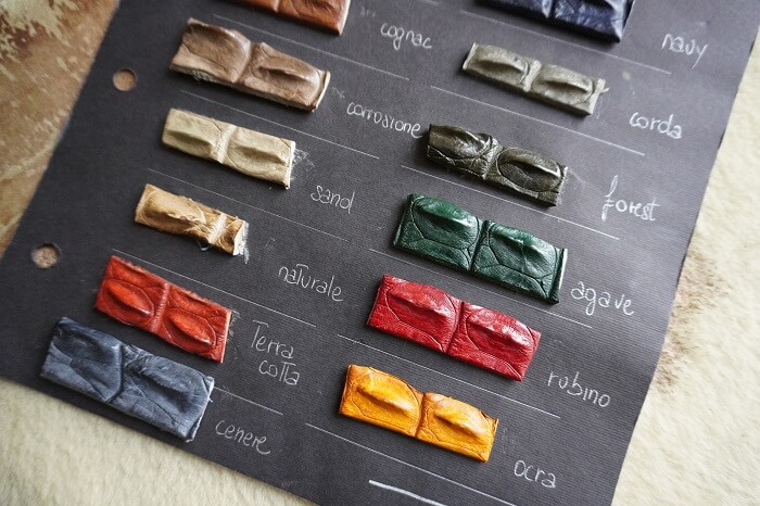 クロコダイルベルト