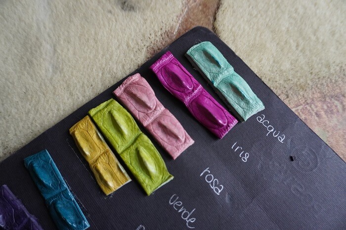 クロコダイルベルト