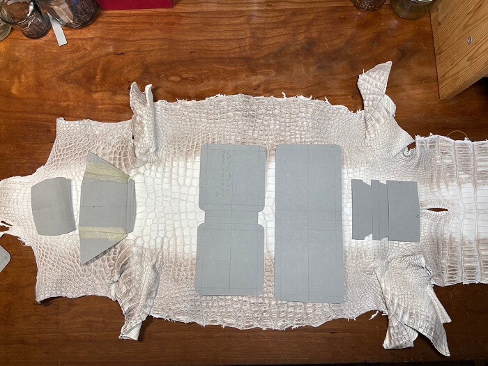 ヒマラヤポロサスクロコダイル